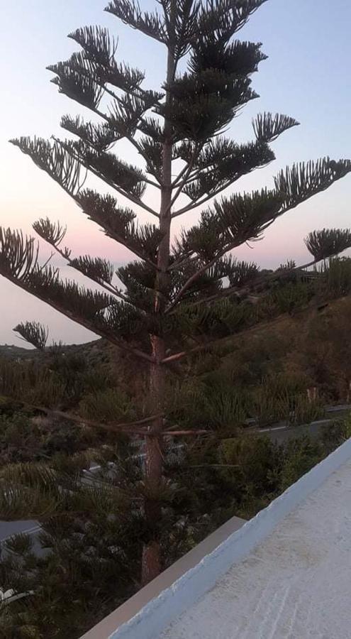 Maria'S Βίλα Mirsini  Εξωτερικό φωτογραφία